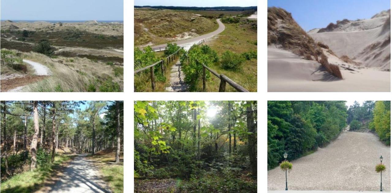 Готель Rekerlanden 119 De Amandelbloesem Schoorldam Екстер'єр фото